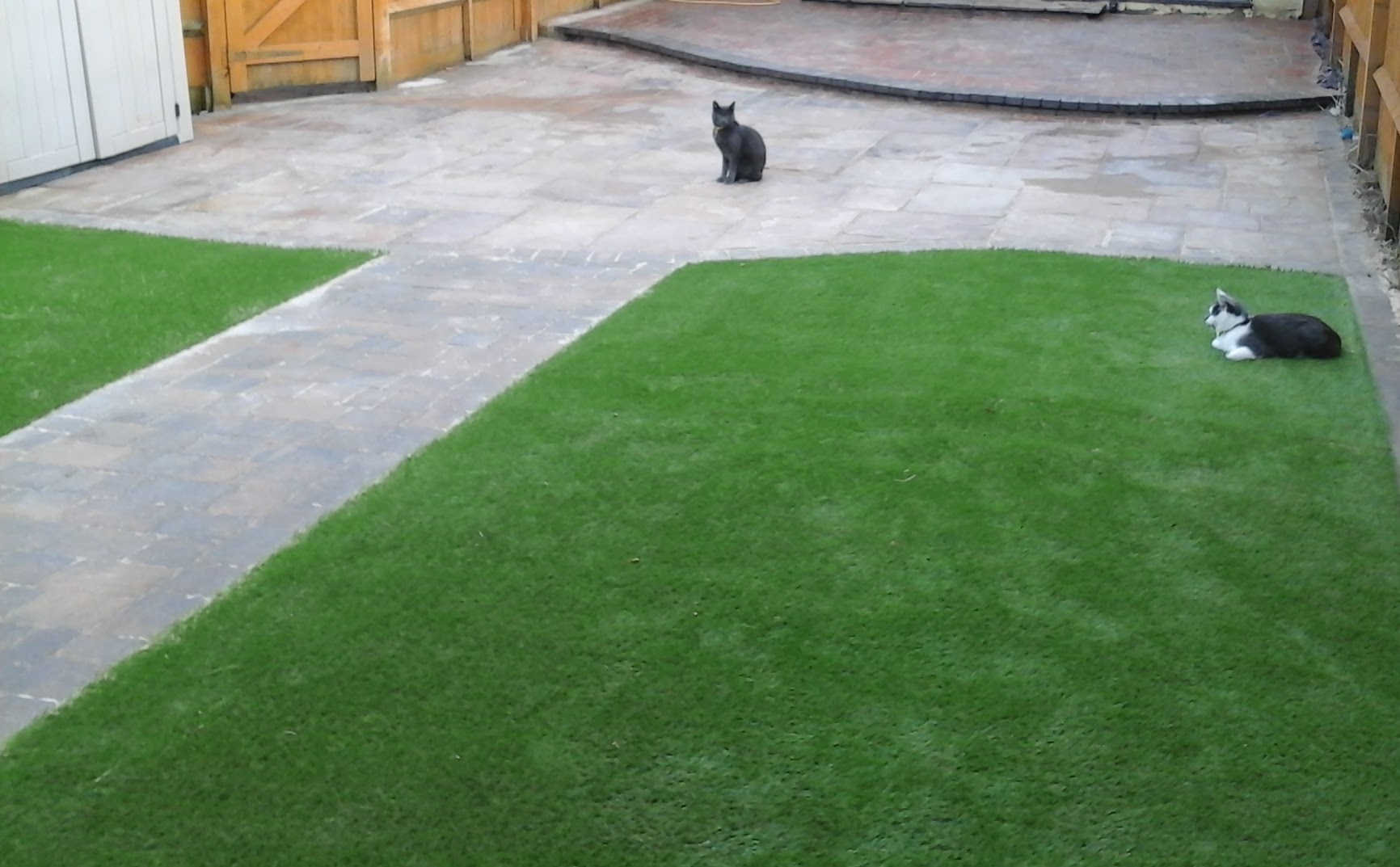 Just like real Grass