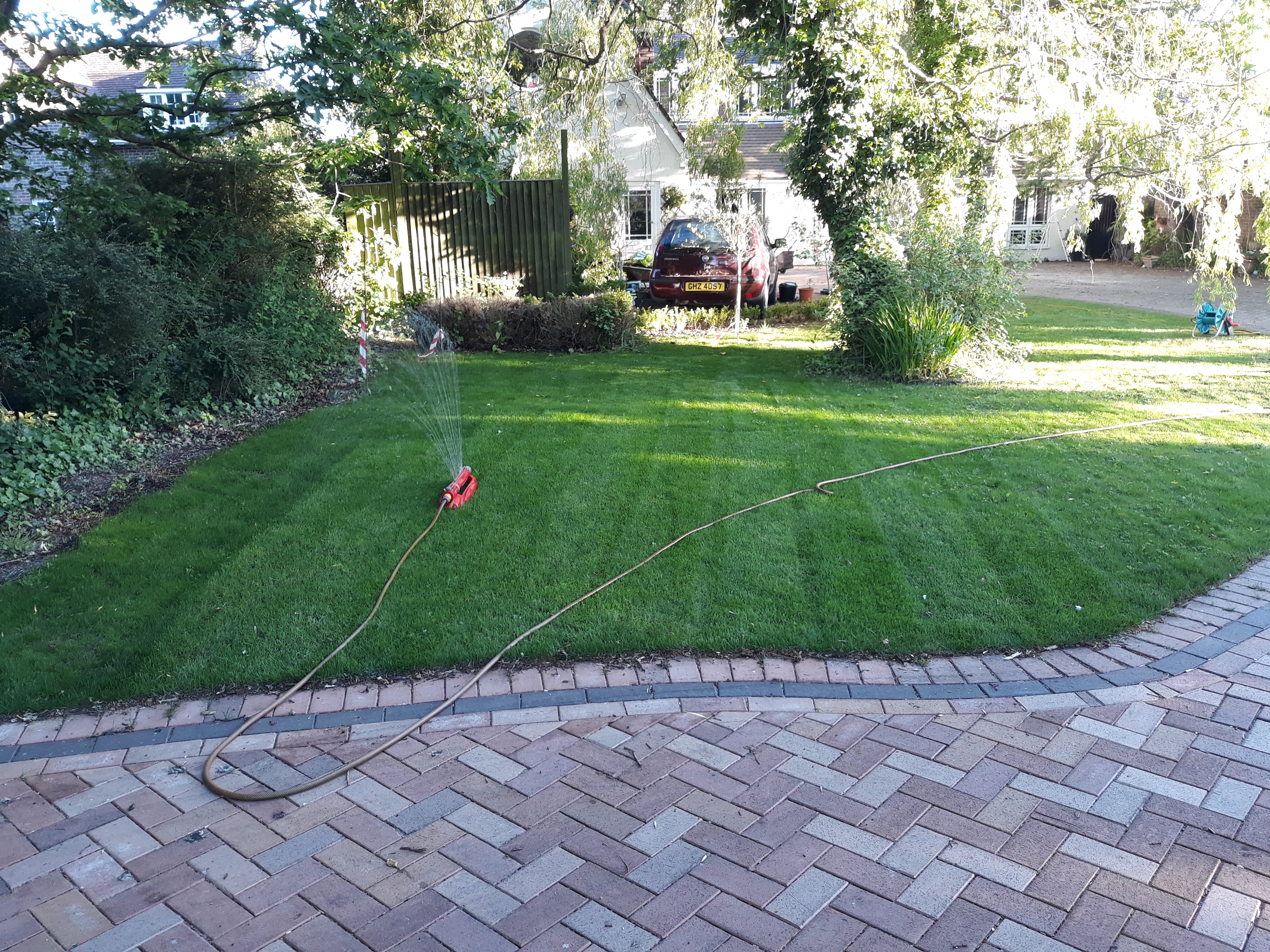 Lawn