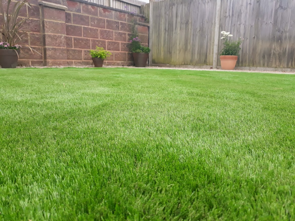 Artificial Turf